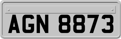 AGN8873