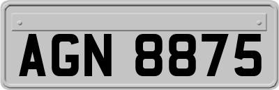 AGN8875