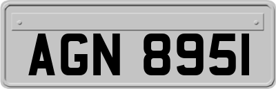 AGN8951
