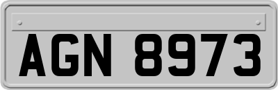 AGN8973