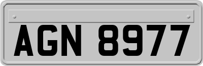 AGN8977