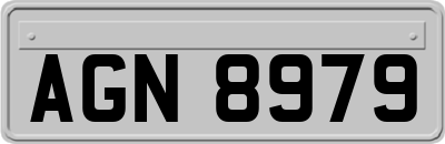 AGN8979