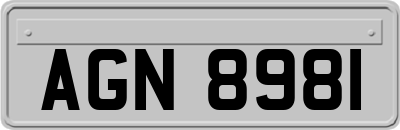 AGN8981
