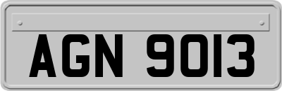 AGN9013
