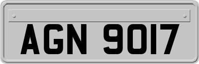 AGN9017