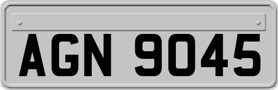 AGN9045