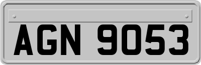 AGN9053