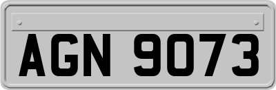 AGN9073