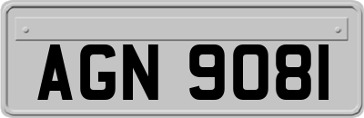 AGN9081