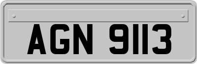 AGN9113