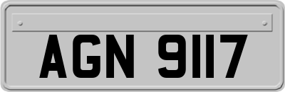 AGN9117