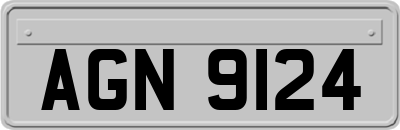 AGN9124