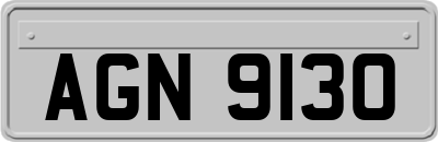 AGN9130