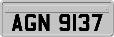 AGN9137