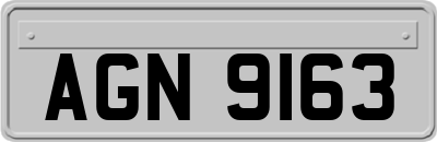 AGN9163