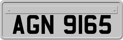 AGN9165