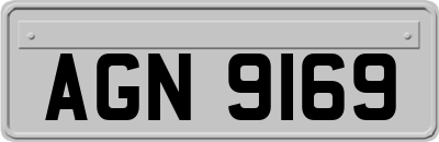 AGN9169