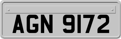 AGN9172