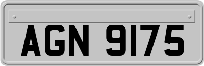 AGN9175