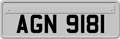 AGN9181