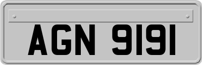 AGN9191