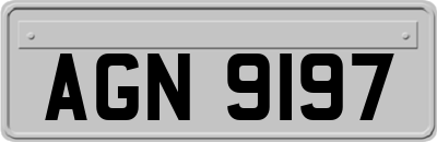 AGN9197