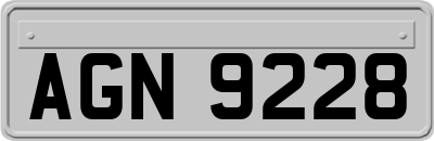 AGN9228