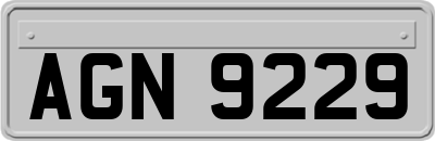 AGN9229