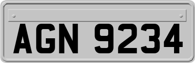 AGN9234