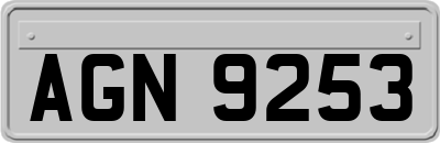 AGN9253