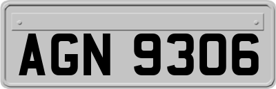 AGN9306