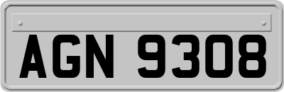AGN9308