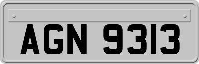 AGN9313
