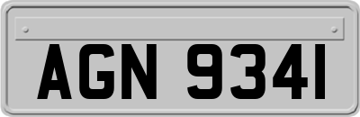 AGN9341