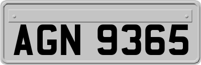 AGN9365