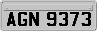 AGN9373