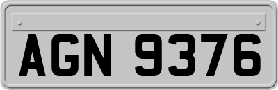 AGN9376