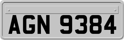 AGN9384