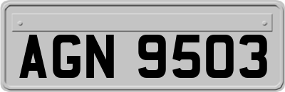 AGN9503