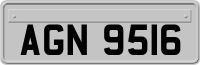 AGN9516