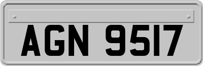 AGN9517