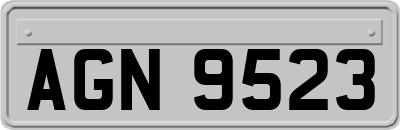 AGN9523