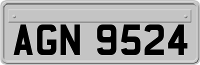 AGN9524