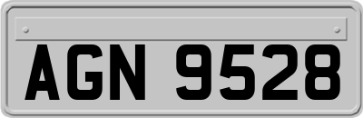 AGN9528
