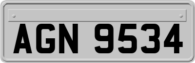 AGN9534