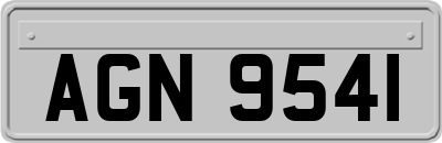 AGN9541