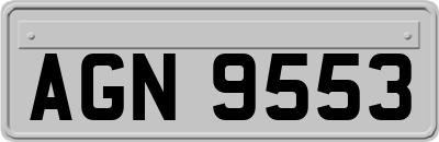 AGN9553
