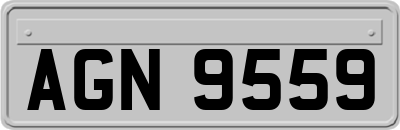 AGN9559