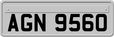 AGN9560