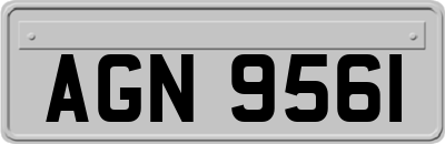 AGN9561
